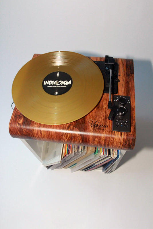 Indigoism Vinyl Signed By The Underachievers